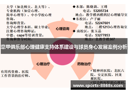 意甲俱乐部心理健康支持体系建设与球员身心发展案例分析