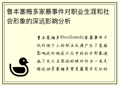 鲁本塞梅多家暴事件对职业生涯和社会形象的深远影响分析